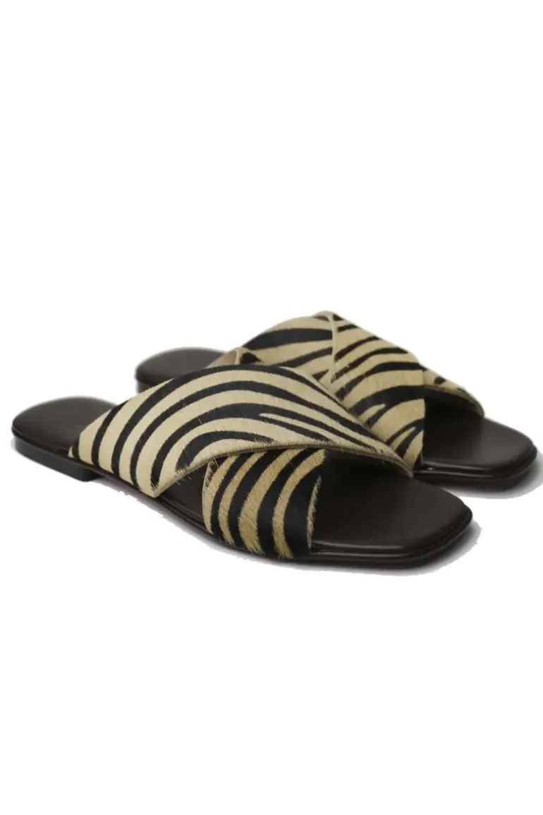 Antichi Romani Crossover Slide In Zebra