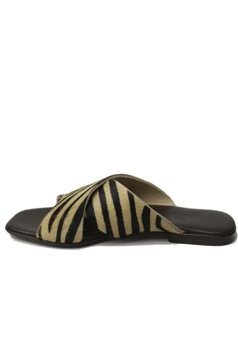 Antichi Romani Crossover Slide In Zebra