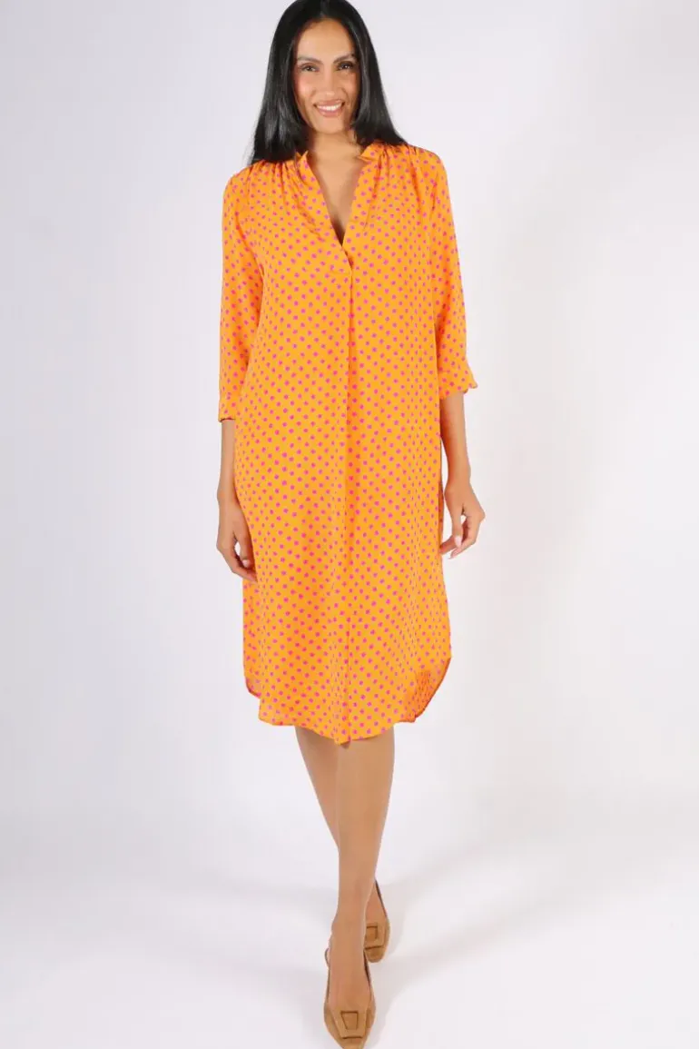Anupamaa Roma Spot Dress In Chartreuse