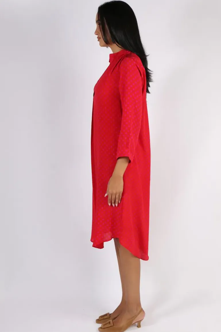 Anupamaa Roma Spot Dress In Red