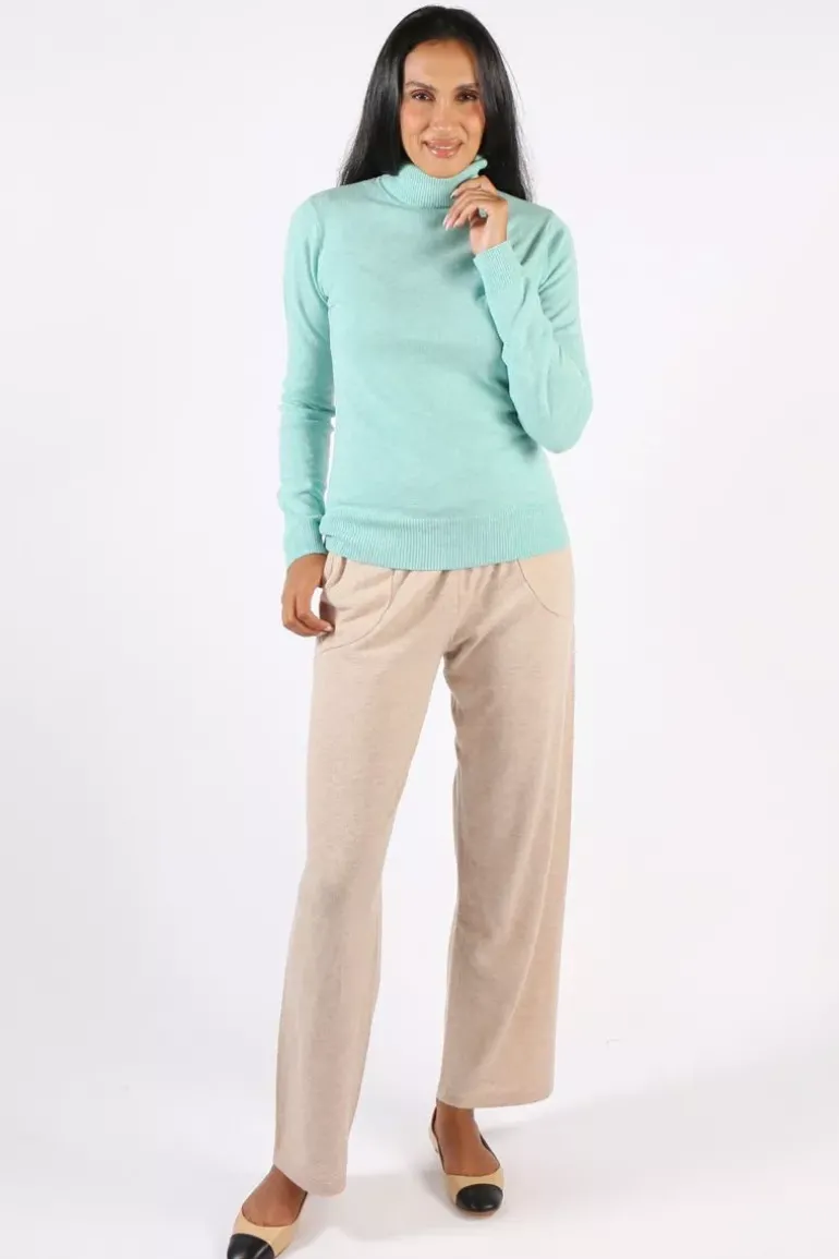Bridge And Lord Essential Polo Neck Rosie Jumper In Seafoam