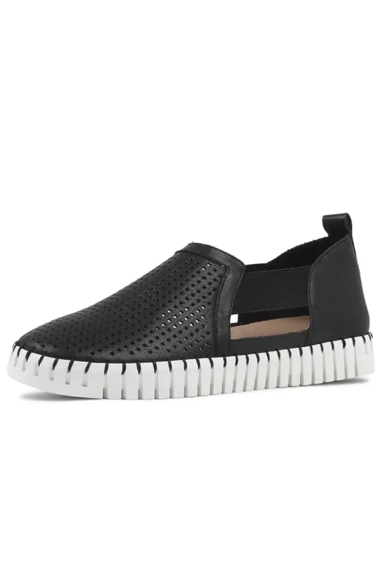 Django And Juliette Habiki Shoe In Black
