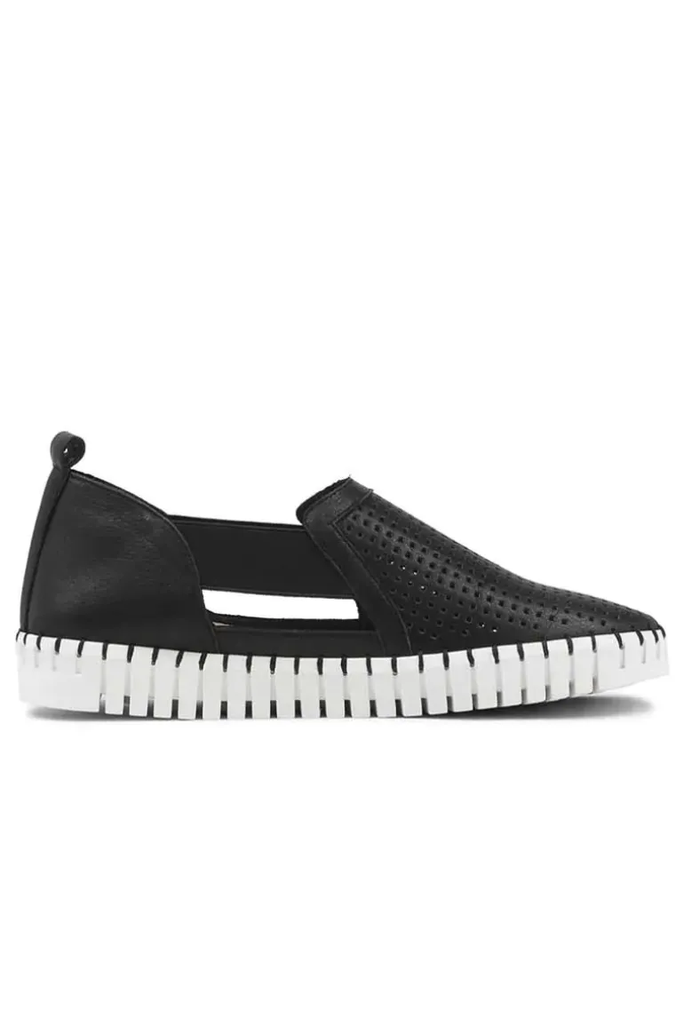 Django And Juliette Habiki Shoe In Black