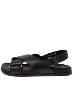 Mollini Haylow Sandal In Black