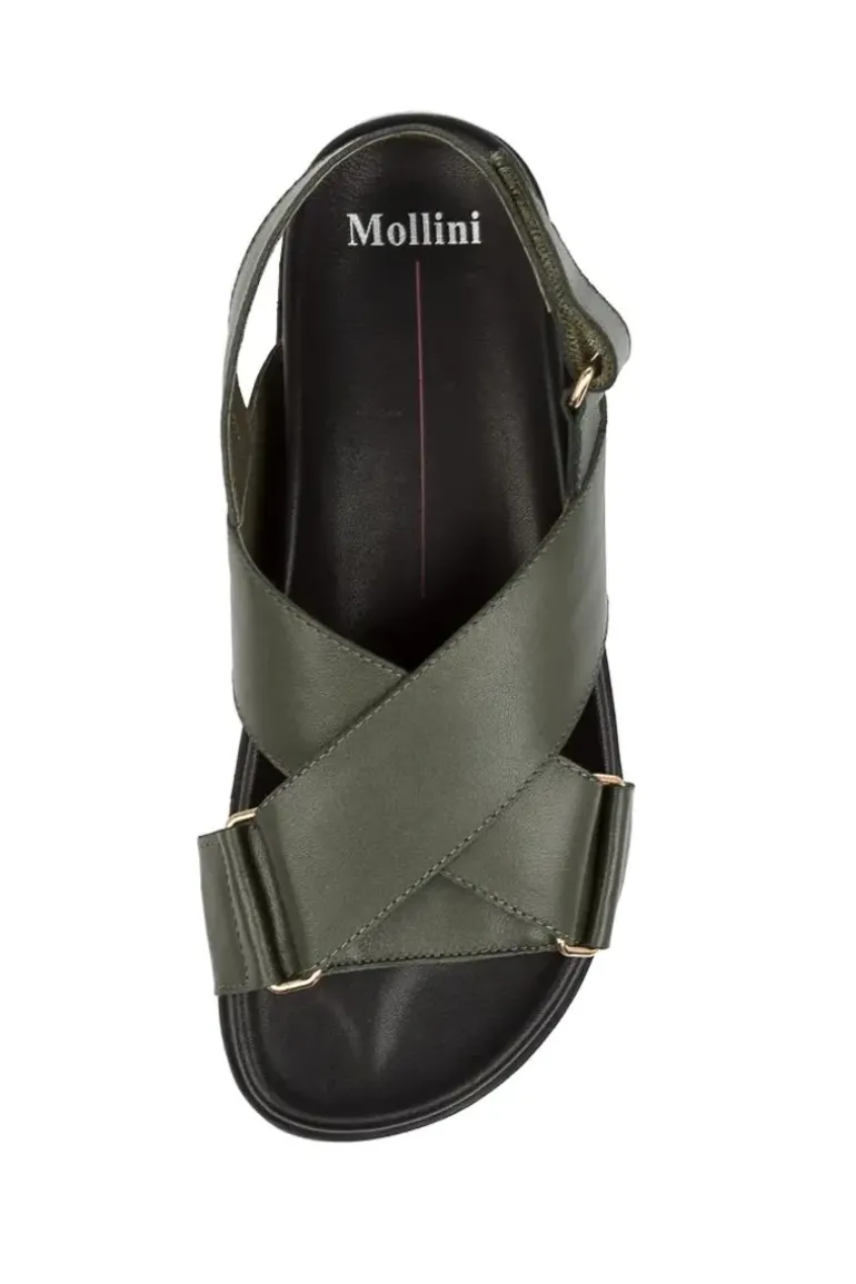 Mollini Haylow Sandal In Olive
