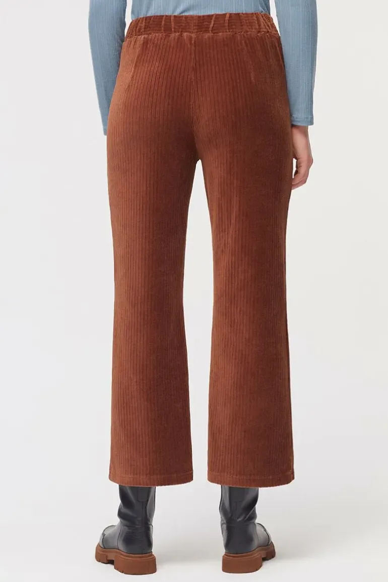 Nice Things Corduroy Stretch Pant In Brown