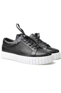 Osaac Sneaker By Django & Juliette In Black