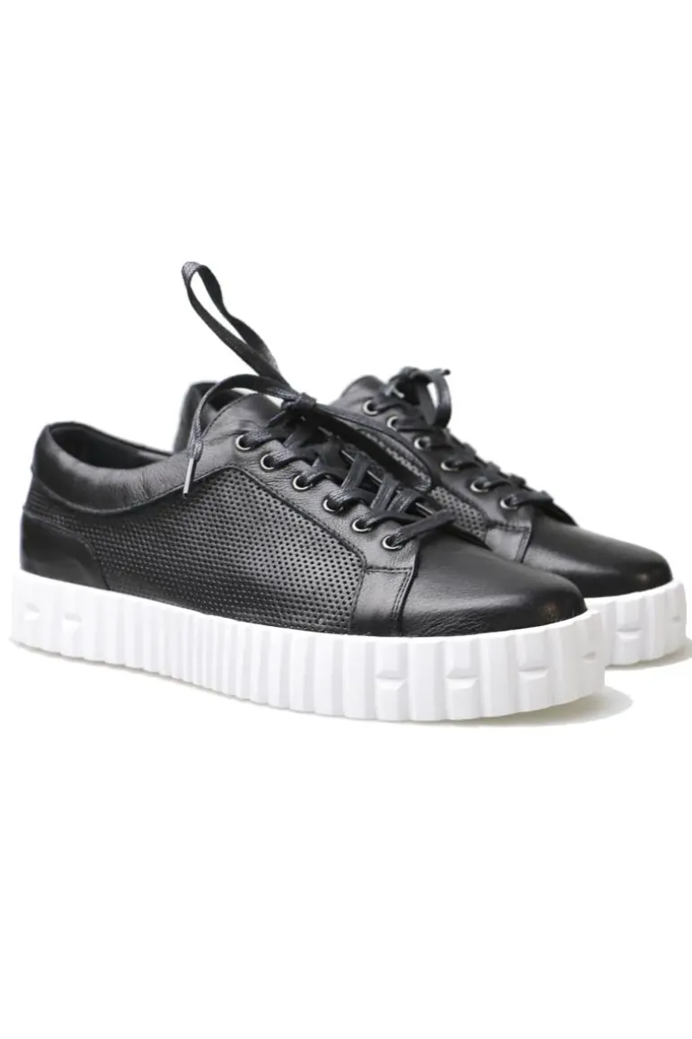 Osaac Sneaker By Django & Juliette In Black