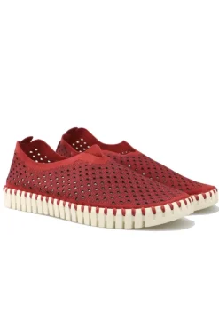 Tulip Flat By Ilse Jacobsen In Deep Red