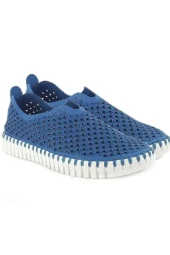 Tulip Flat By Ilse Jacobsen In Direct Blue