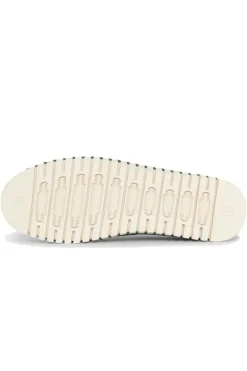 Tulip Flat By Ilse Jacobsen In Beetle
