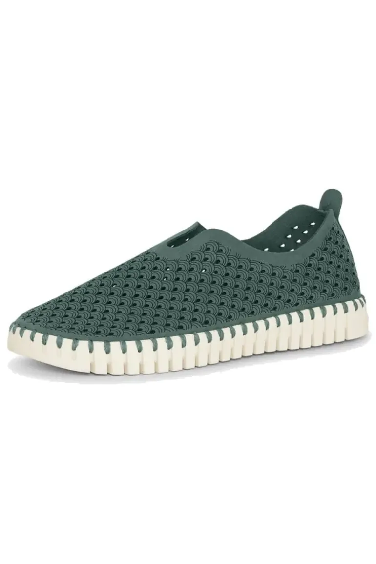 Tulip Flat By Ilse Jacobsen In Beetle