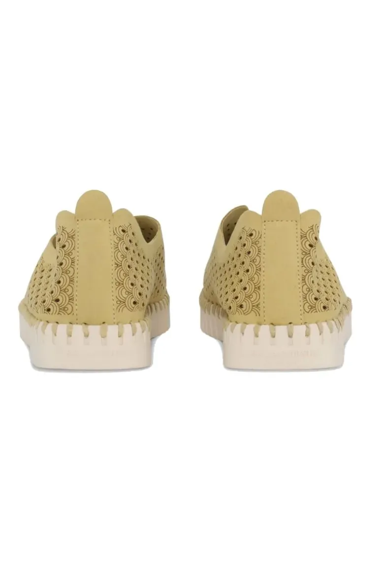 Tulip Flat By Ilse Jacobsen In Citronella