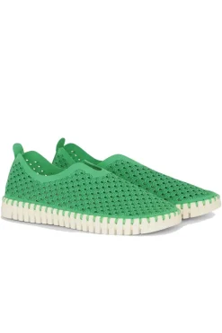 Tulip Flat By Ilse Jacobsen In Fern