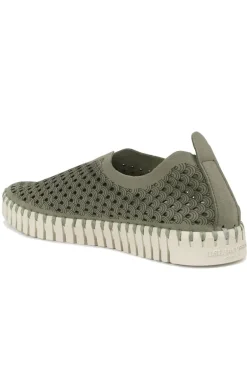 Tulip Flat By Ilse Jacobsen In Army