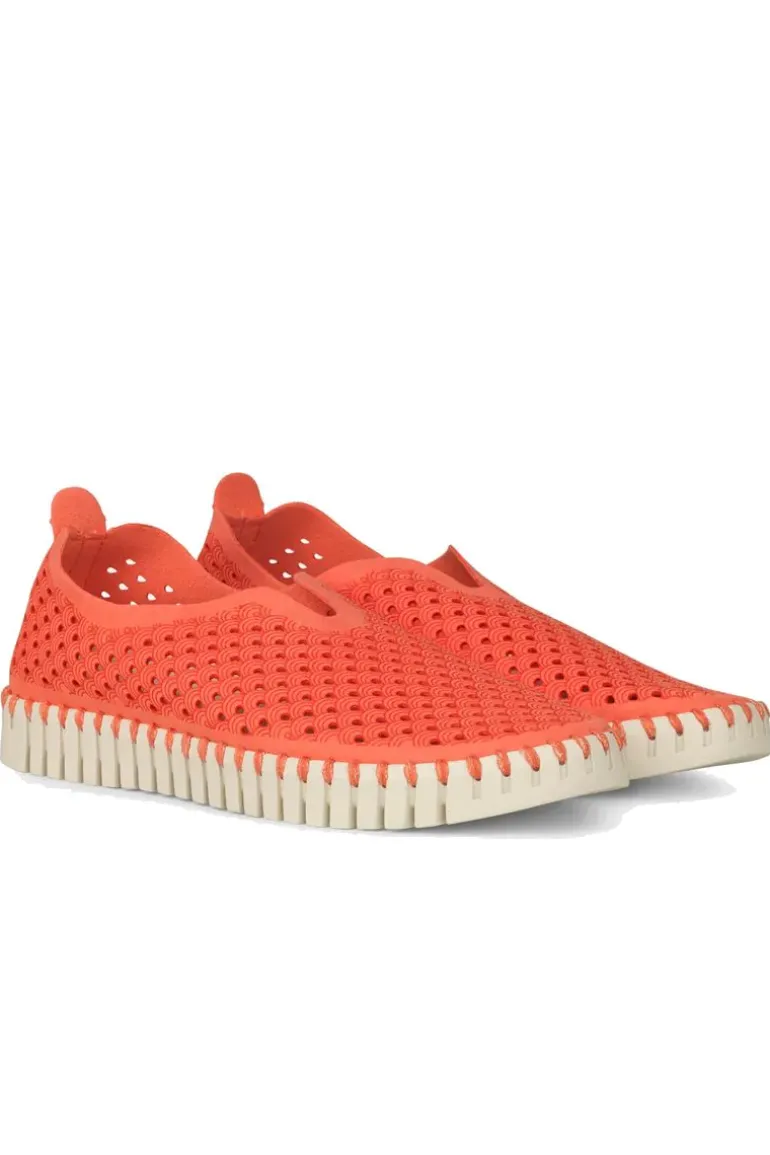 Tulip Flat By Ilse Jacobsen In Raspberry
