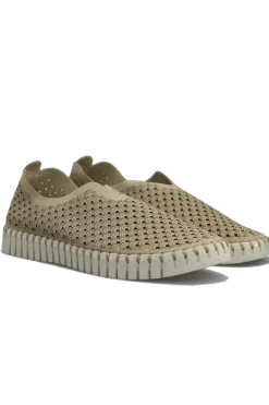 Tulip Flat By Ilse Jacobsen In Latte