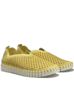 Tulip Flat By Ilse Jacobsen In Yellow