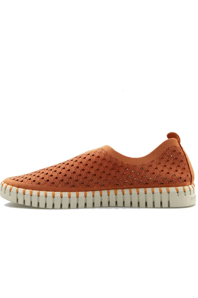 Tulip Flat By Ilse Jacobsen In Camelia