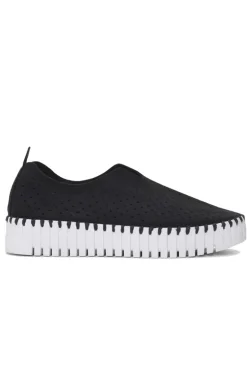 Tulip Plateau Shoe By Ilse Jacosben In Black
