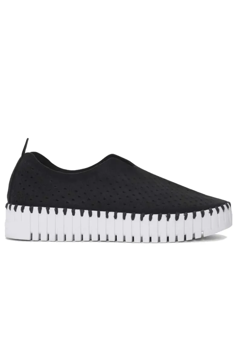 Tulip Plateau Shoe By Ilse Jacosben In Black
