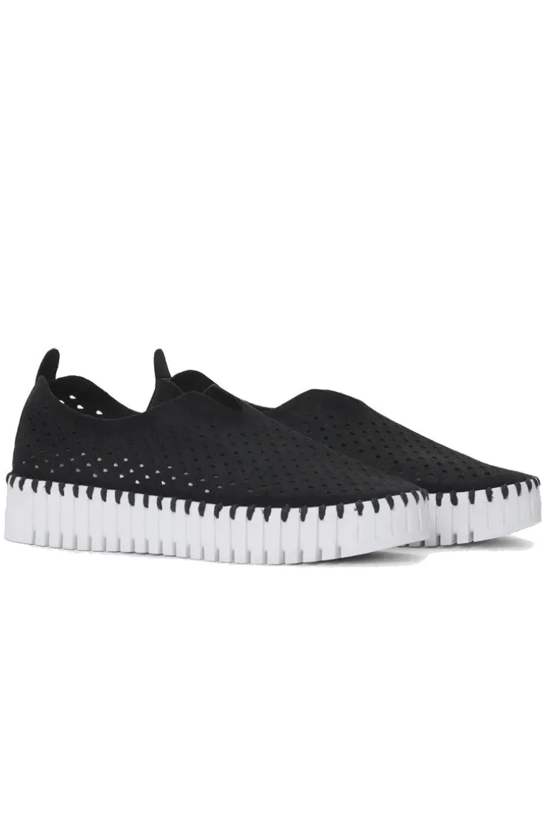Tulip Plateau Shoe By Ilse Jacosben In Black