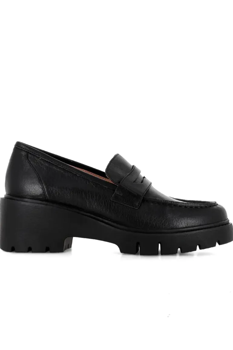 Unice Brogue Shoe In Django & Juliette In Black