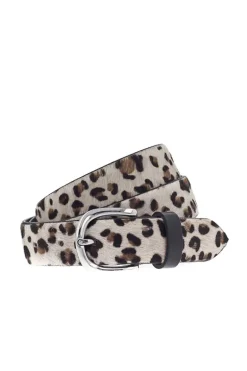 Vanzetti Leopard Belt In Cream