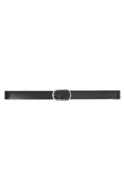 Vanzetti Snake Skin Belt In Black
