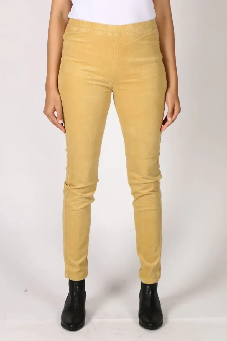 Vassalli Slim Corduroy Pant In Dijon