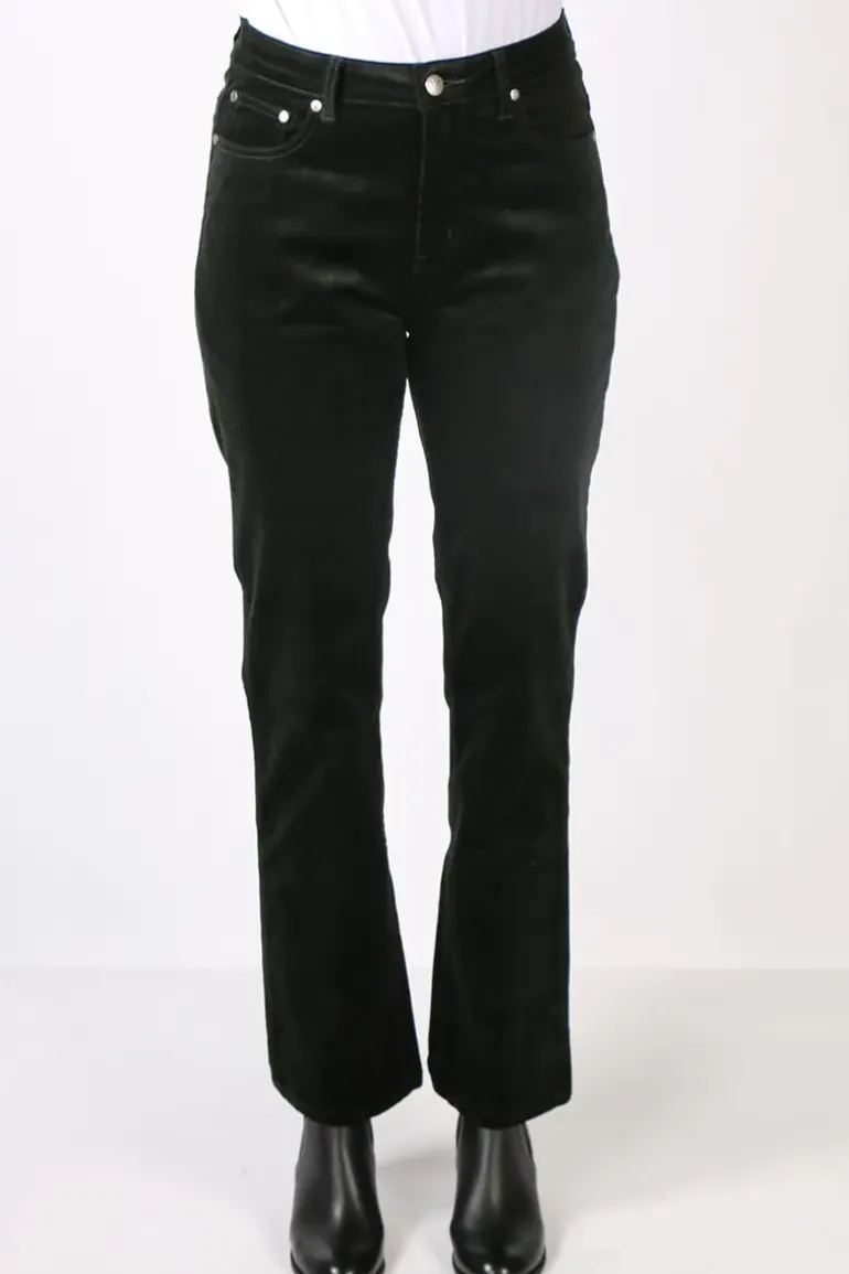 Vassalli Straight Leg Pant In Forest
